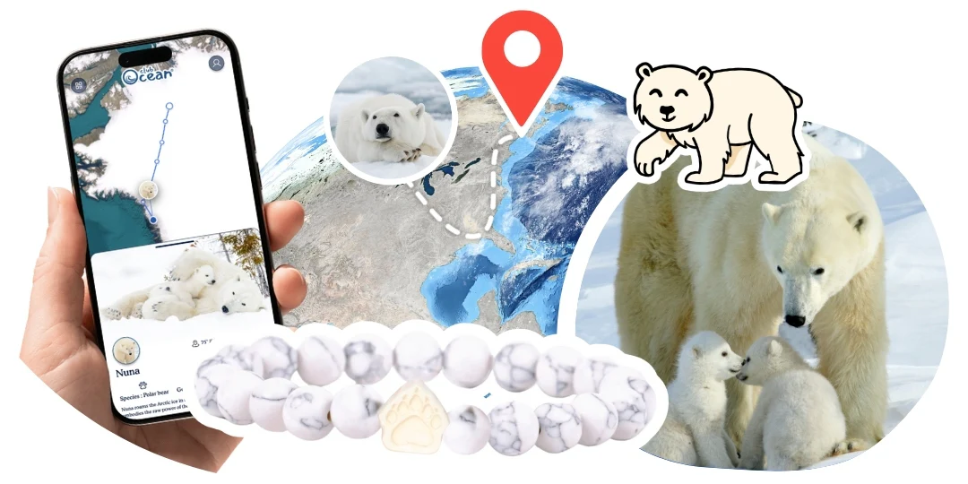 Polar Bear Tracking Bracelet - Zimenao