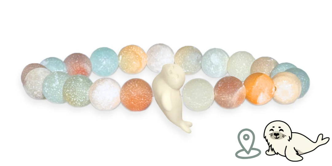 Seal Tracking Bracelet - Zimenao