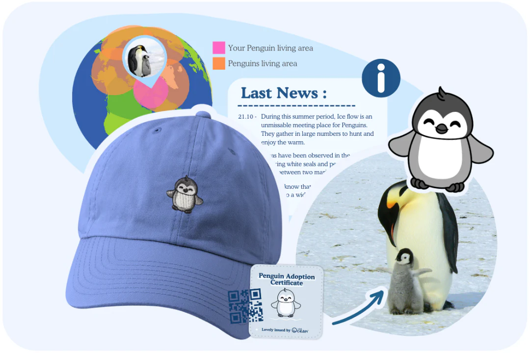 Penguin Adoption Cap - Zimenao