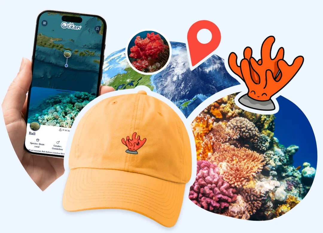 Coral Adoption Cap - Zimenao