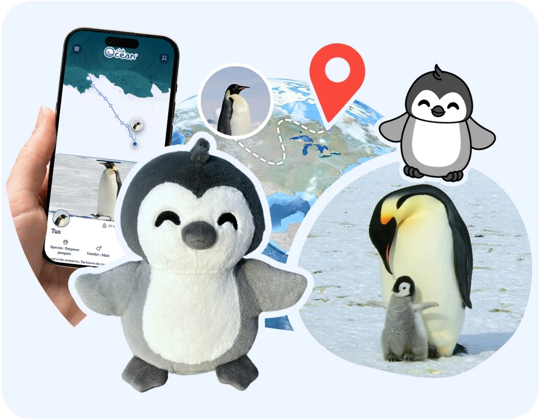 Penguin Plushie - Zimenao
