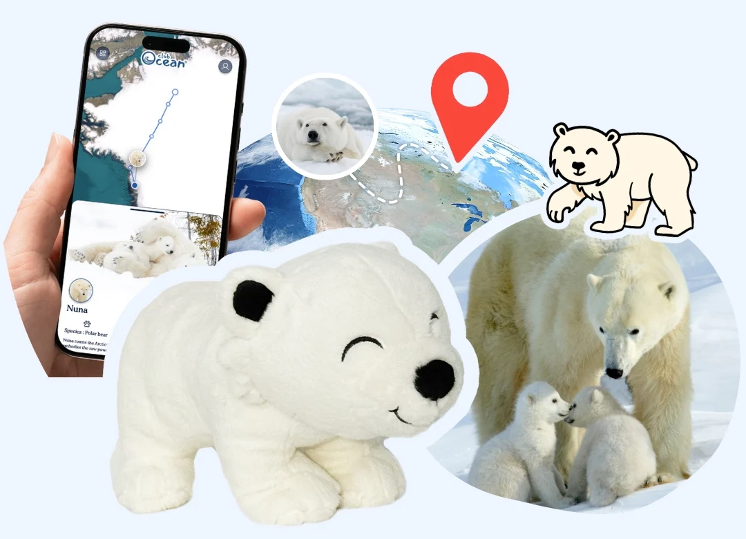 Polar Bear Plushie - Zimenao