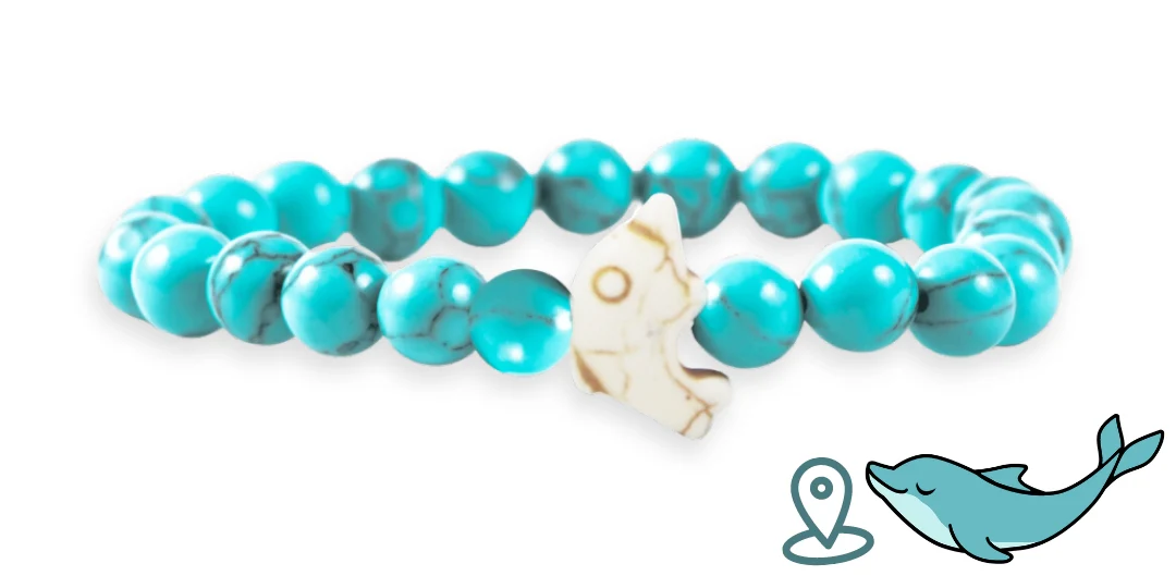 Dolphin Tracking Bracelet - Zimenao