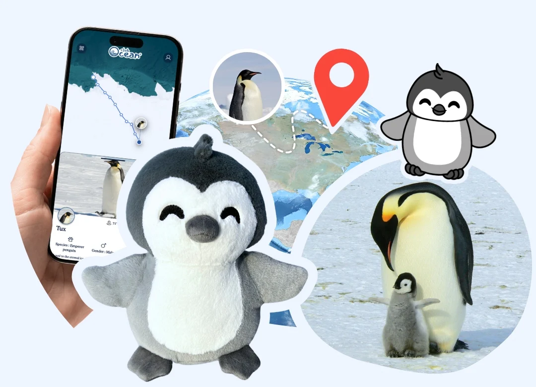 Penguin Adoption Plushie - Zimenao